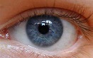 eye